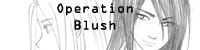 blush operation